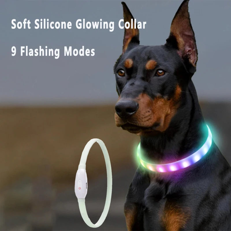 USB Rechargeable Glowing Collar for Large and Small Dogs