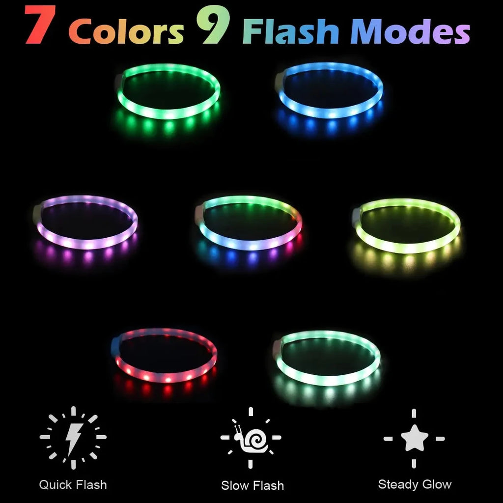 USB Rechargeable Glowing Collar for Large and Small Dogs