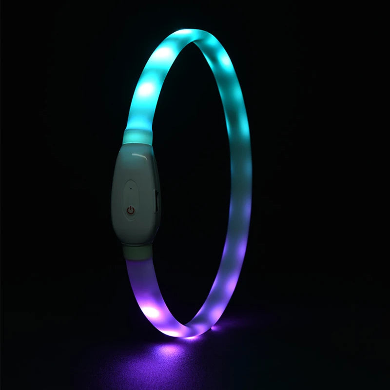 USB Rechargeable Glowing Collar for Large and Small Dogs