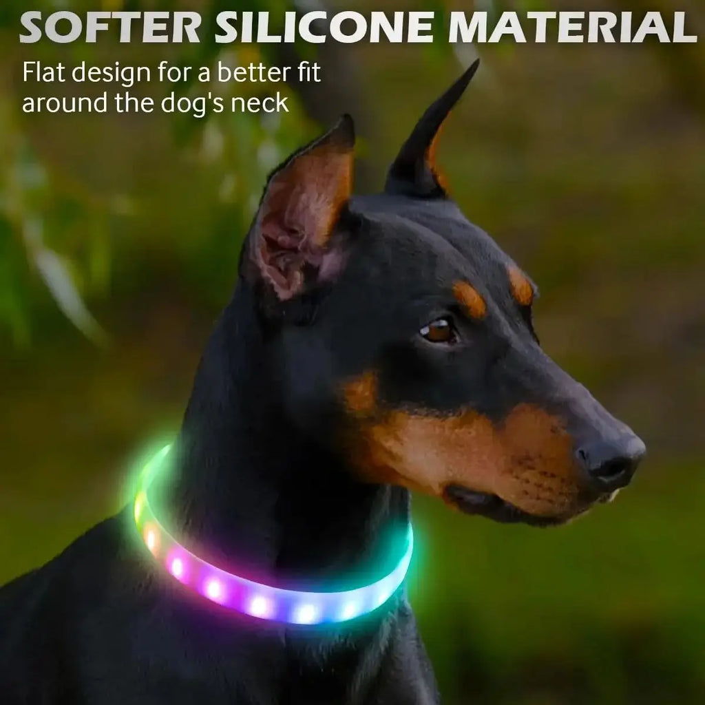 USB Rechargeable Glowing Collar for Large and Small Dogs