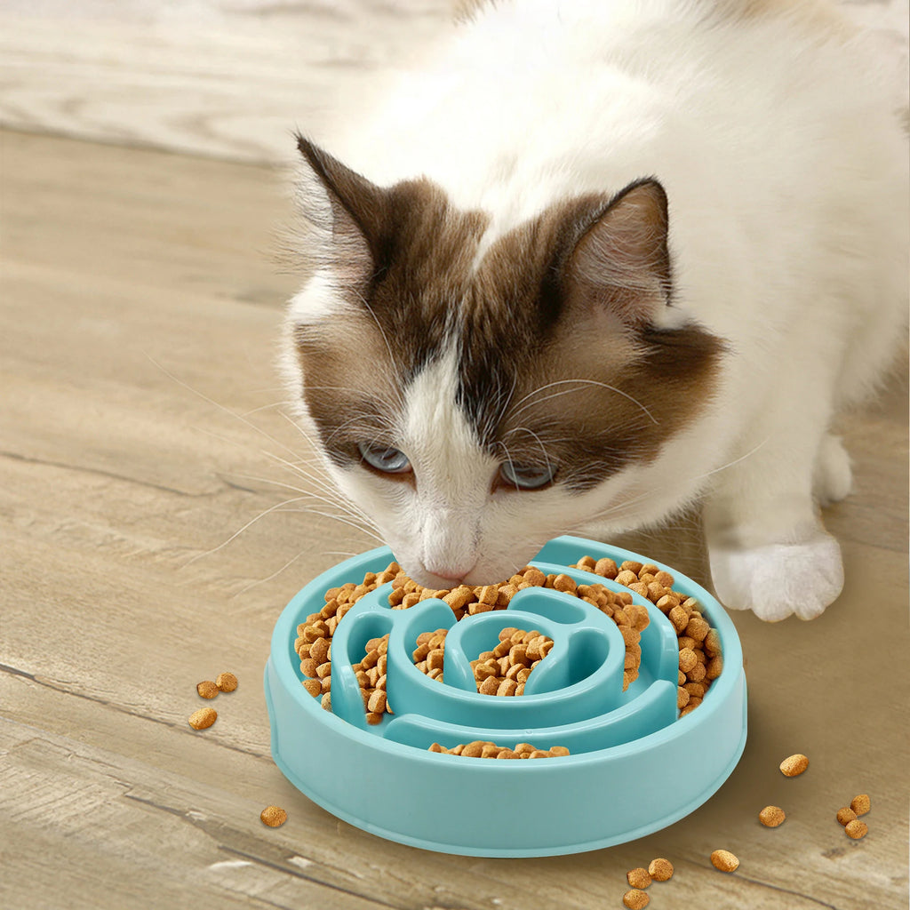 Pet Dog Slow Feeder Bowl Fun