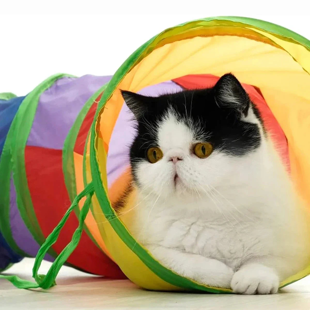 Cat Rainbow Tunnel Tube, Foldable Cat Toy