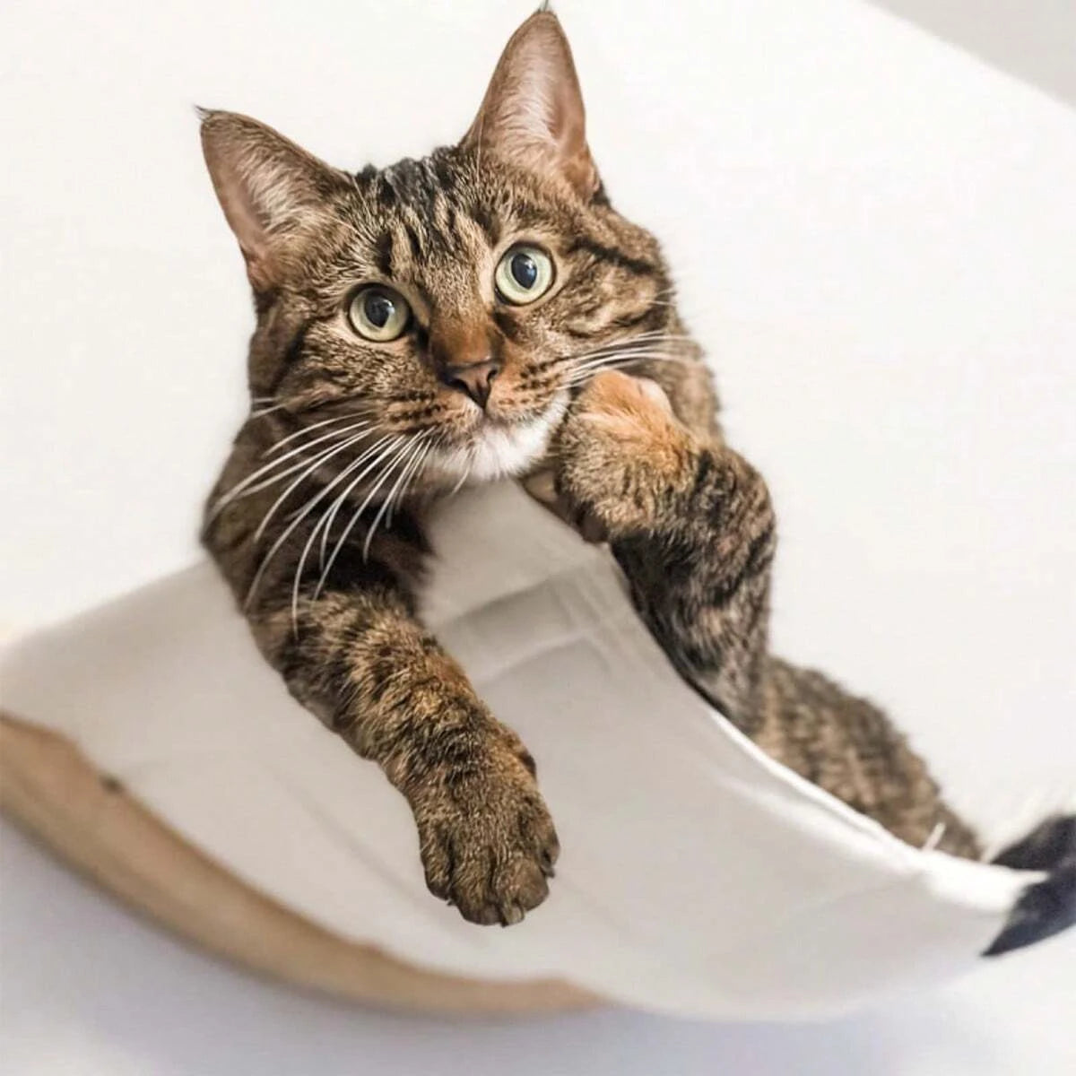 Cat Hammock Bed Wall Mounted Climbing Cats