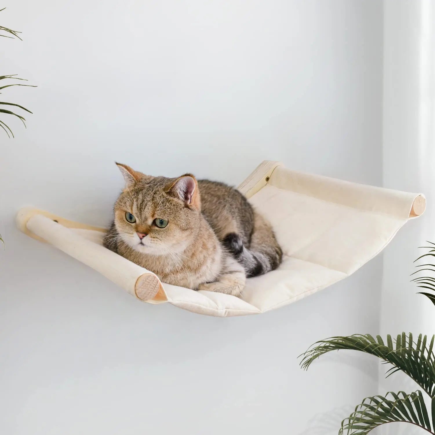 Cat Hammock Bed Wall Mounted Climbing Cats