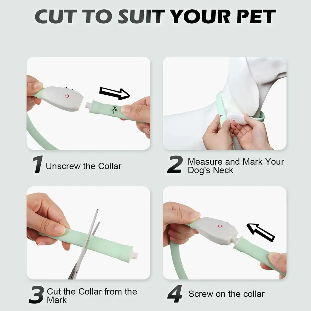 USB Rechargeable Glowing Collar for Large and Small Dogs