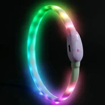 USB Rechargeable Glowing Collar for Large and Small Dogs